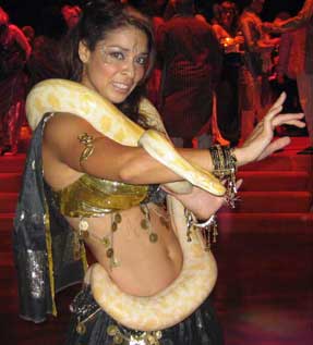 Katia Lopez, Snake Charmer